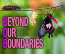 Welcome to Beyond Our Boundaries